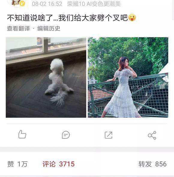 赵丽颖这次回复情商很高，辟谣了怀孕和恋情，还是单身