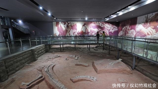 国庆假期亲子游:穿越西峡恐龙王国,来一场益智之旅