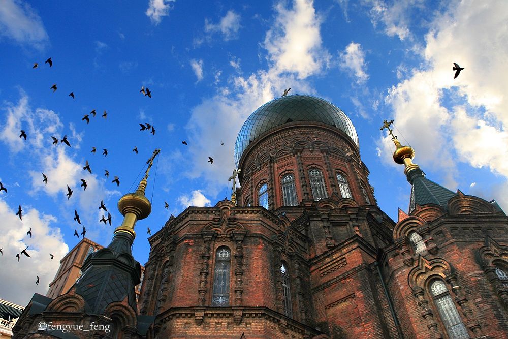 大兴安岭特大火灾澳洲火灾