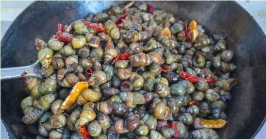  「好主意」种粮食不赚钱怎么办？农村养螺蛳是个好主意，高产螺