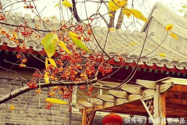 陌上弹指芳菲暮，朱颜辞镜花辞树往来皆过客，何曾有归人