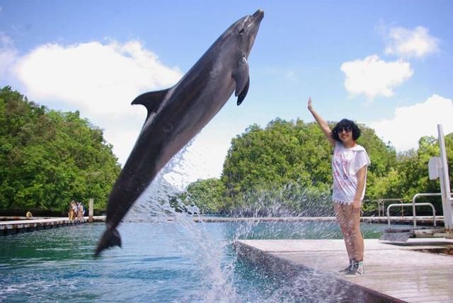 惹恼了中国人民，旅游收入直接减半，网友：免签也不去