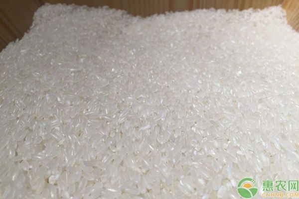  [价格]最贵的大米多少钱一斤？中国最贵大米排行榜