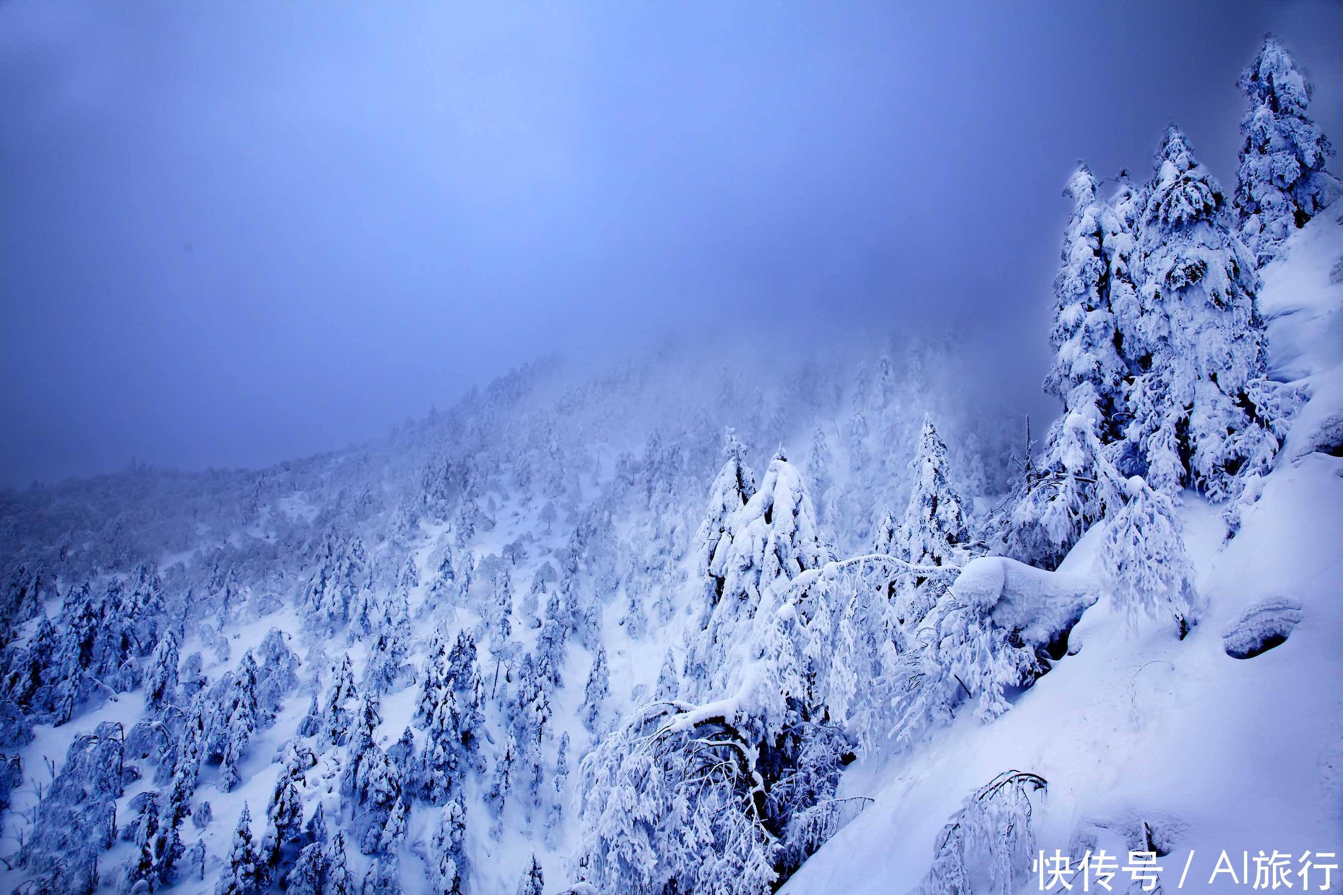 四川最坑的景区，欲成“第二个雪乡”，网友：呼吸空气要钱不？