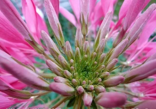  【顶级】OPPO Find X2评测:顶级屏幕,依旧是全能5G旗舰!