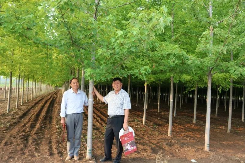庭院深深，中式庭院 · 怡然自得