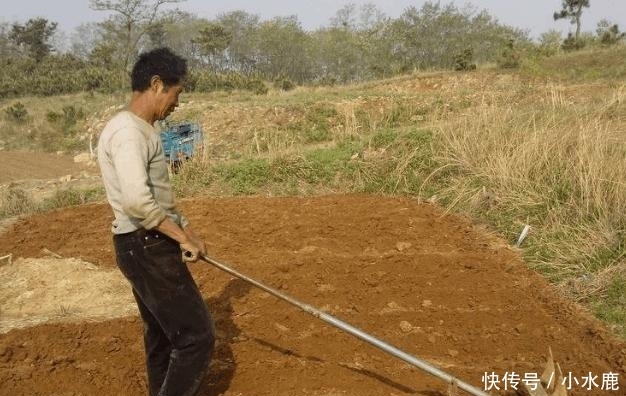  #养家#“失业潮”再度来袭, 一大批农民工被迫返乡, 以后靠什么