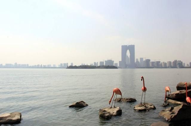 浙江和江苏，两省比较，谁的综合实力略胜一筹？
