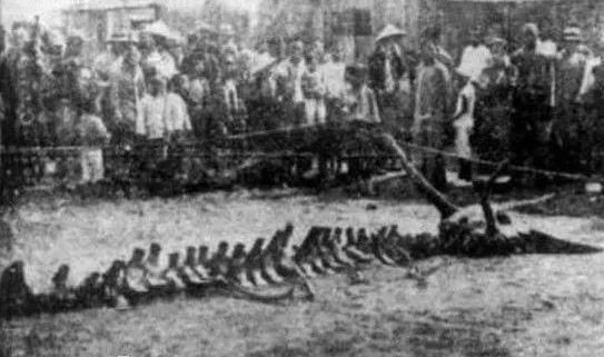 关于帝都锁龙井的真实诡异事件！日本人证实传言并非空穴来风