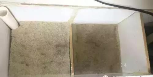  鱼缸：还在用鱼缸养鱼, 太难看了, 在阳台砌个鱼池漂亮又拉风!