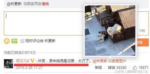 生病住院惨被结婚，但林更新还是想让人哈哈哈~
