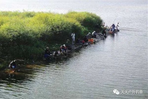  不缠@野钓奇招数：自制加强版盒饭钩，不缠子线、不挂底，野钓大鱼必备
