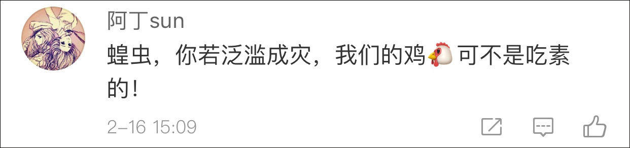  「纪录片」4000亿蝗虫肆虐印巴，我国人民19年前养鸡斗蝗的纪录