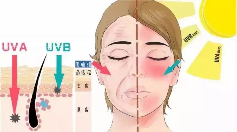 市面上防晒那么多，我只想找到属于自己的那一款
