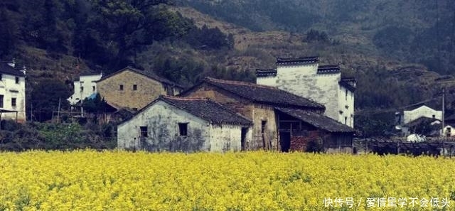  「道理」农村俗语：“宁往前赶一山，不往后挪一砖”，啥意思？