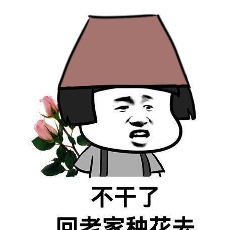 [生活]40岁之前，赚钱养家，40岁之后，种菜养花！