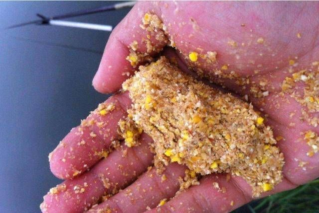  技巧：我对夏天钓草鱼的看法，一些钓鱼技巧，希望能对你有所帮助