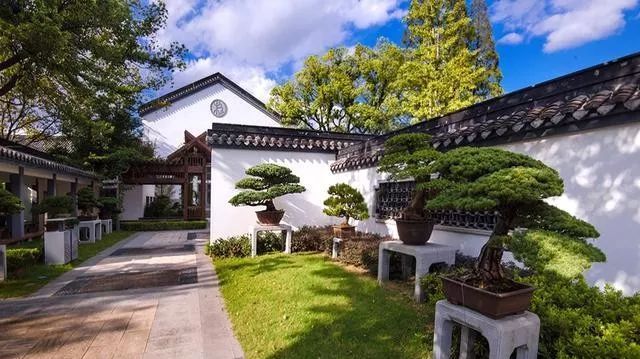 国内最大的专类盆景园,江南园林海派风格美不胜收