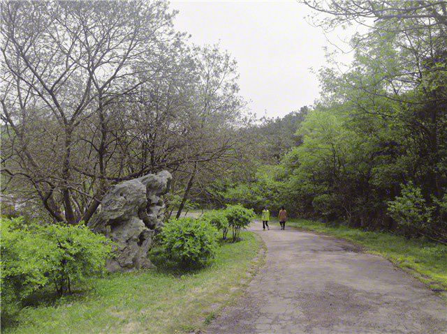 南京将军山风景区为何封闭三年?记者探访发现，内部设施已破旧不