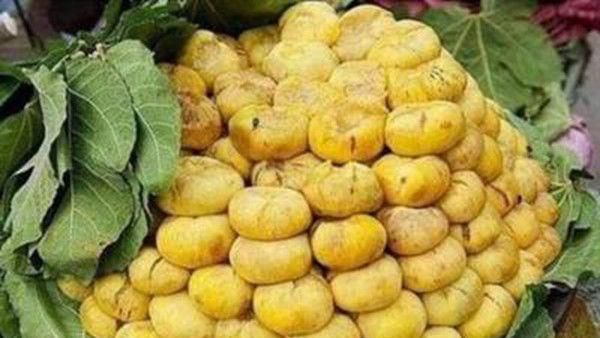 这种水果在农村很普遍，烂了才有人摘，在城市卖30元1斤还要抢！