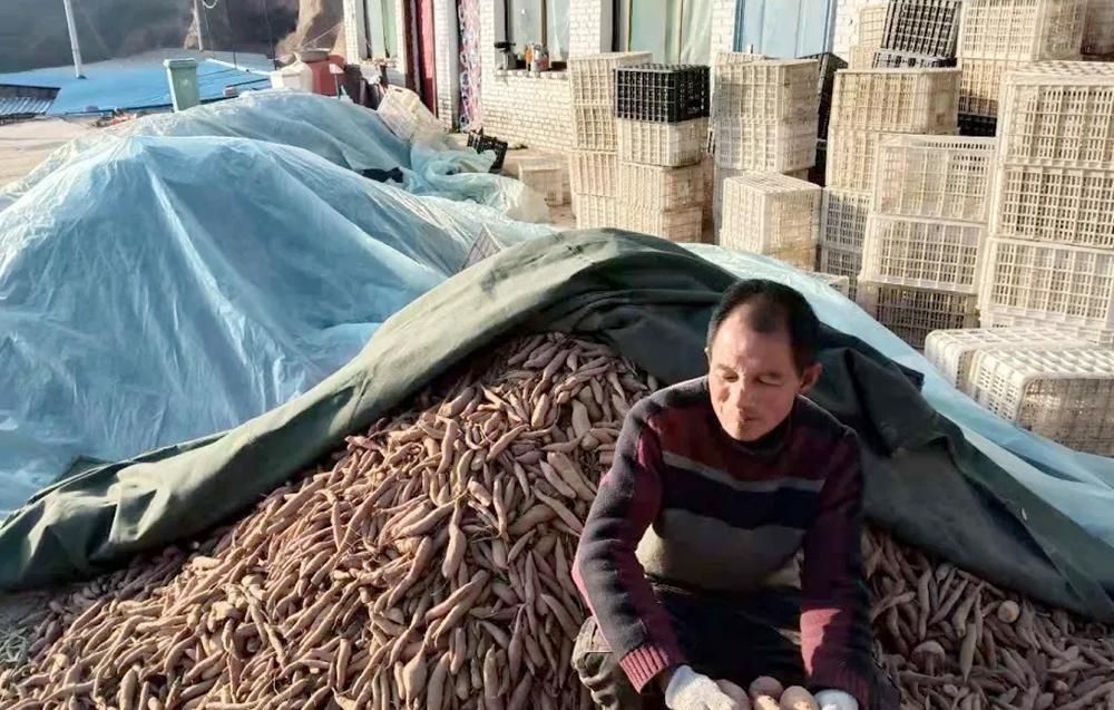  眼神：30万斤找不到销路，已扔掉上万斤烂果，无助的眼神让人想