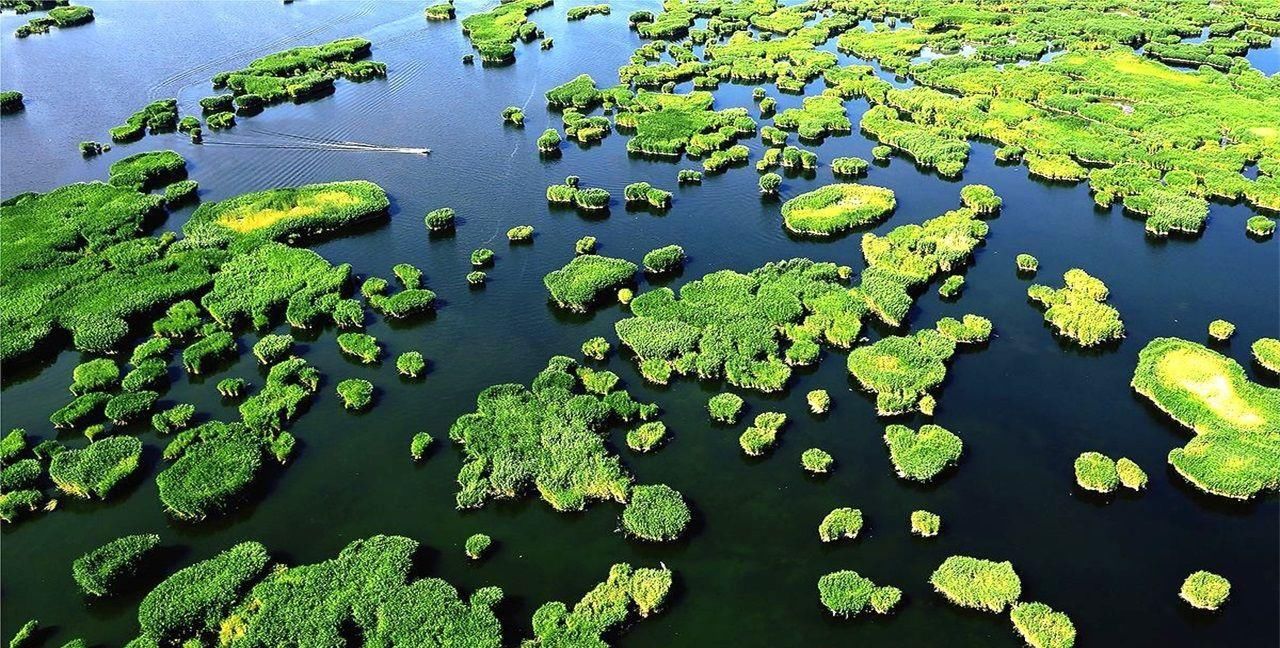 我国最大的内陆淡水湖，十年间减少一半，有“瀚海明珠”之称