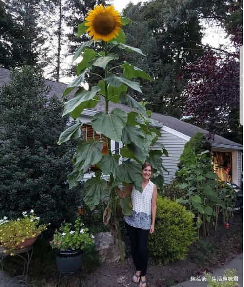 14张不可思议的照片，证明大自然比想象中更独特