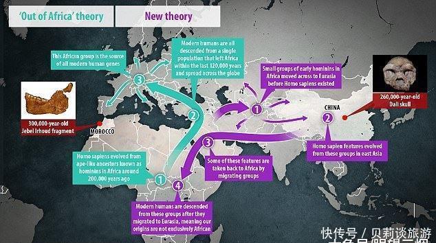 来自中国的一个26万年前的头骨将改写人类进化史