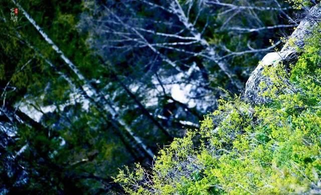  「迷人」『喀旅有约』四月里，心中已是长满春日的喀纳斯！