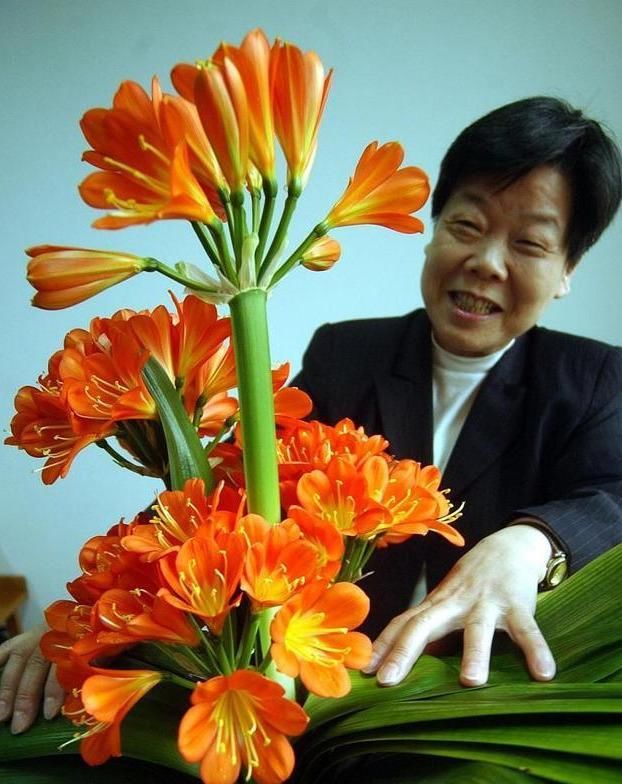  「度夏」小满之后养君子兰,巧做3件事,不烂根不黑腐,轻松度夏按时开花