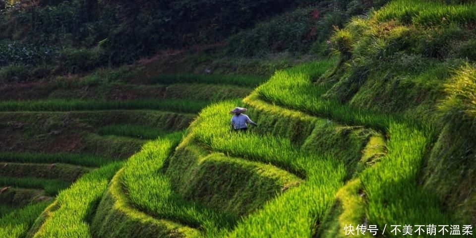 黔桂自由行，人在画中游