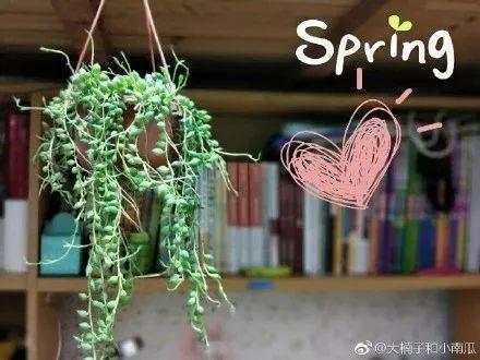 t01f16eb7334c9e6308.jpg?size=440x330