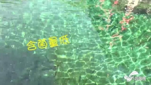 趵突泉水装袋，一袋卖18元？记者一核实，还真有，不过价格……