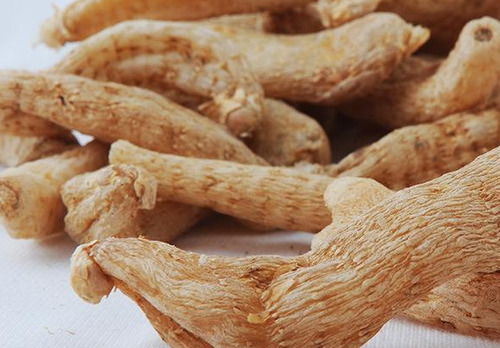 农村一植物，被人们肆意挖掘，一斤60元轻松致富