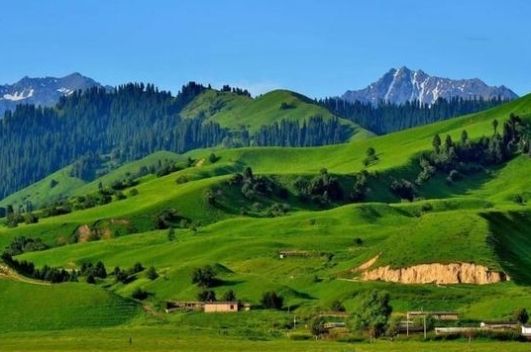  产地：中国最好的水果产地---新疆水果地图