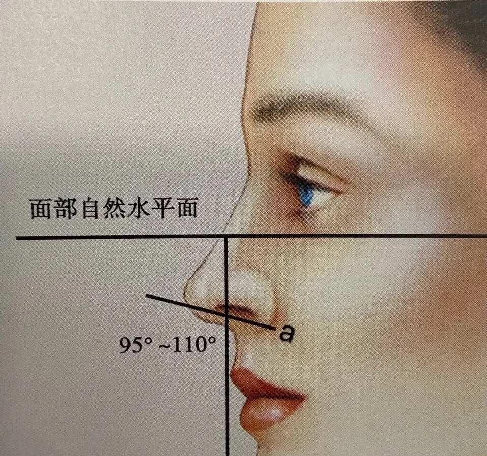 「分享」什么样长度的鼻子最好看?鼻部知识分享,千万要了解的术后小知识
