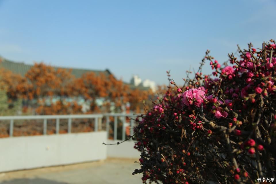  『兰州』大王泒我去巡山【2】兰州碑林