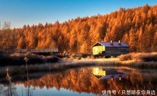 呼伦贝尔的秋天，美的太高级