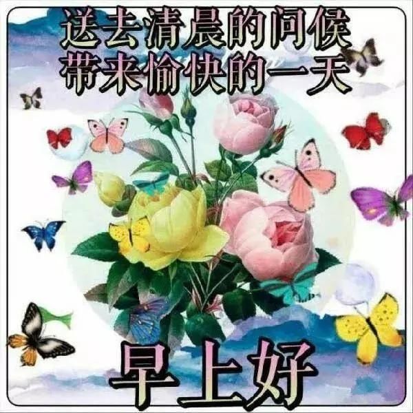  『早上』4月3日 微信早上最美的早安问候祝福语，早晨好祝福语图片
