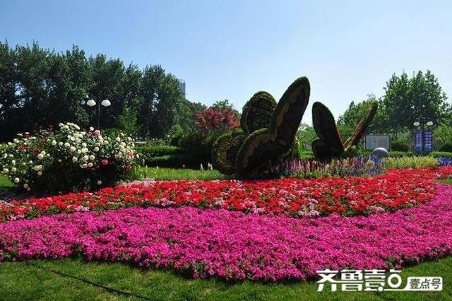 【历城】历城会客厅洪楼广场,开启城市花园模式