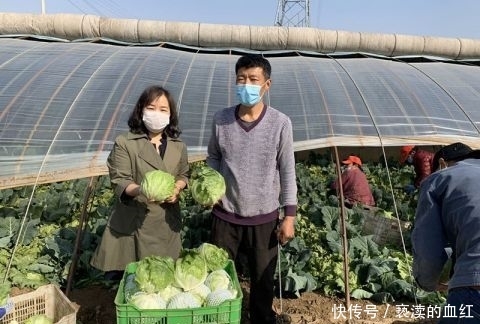  「球生菜」家乐福采购万余斤平谷滞销蔬菜