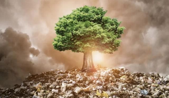  「禁止生产和销售」＂禁塑令＂来了！外卖、快递、酒店再不能＂