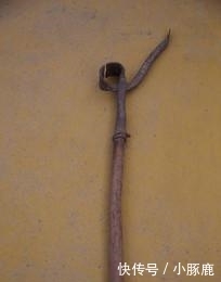 认识5个正常, 10个算厉害, 全部都认识的你就超“神”了!