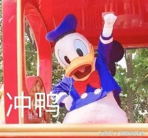 邯郸人必须看！狗主人侮辱殴打脚踢怀孕8个多月的孕妇致其早产！