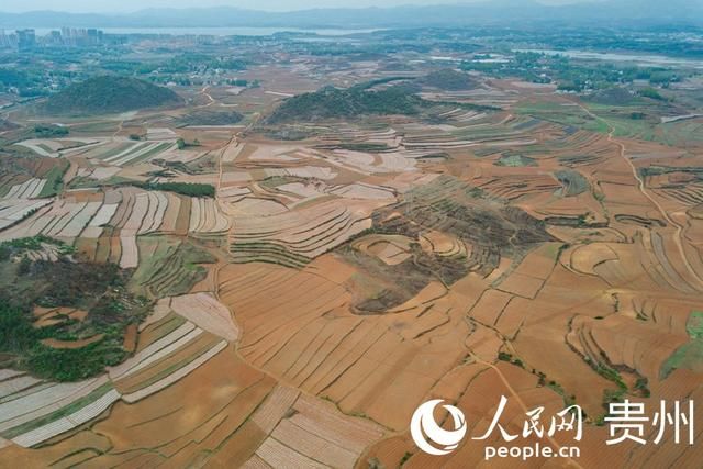  「扶贫」贵州威宁：扶贫蔬菜基地播种“希望”易地搬迁户收获安康