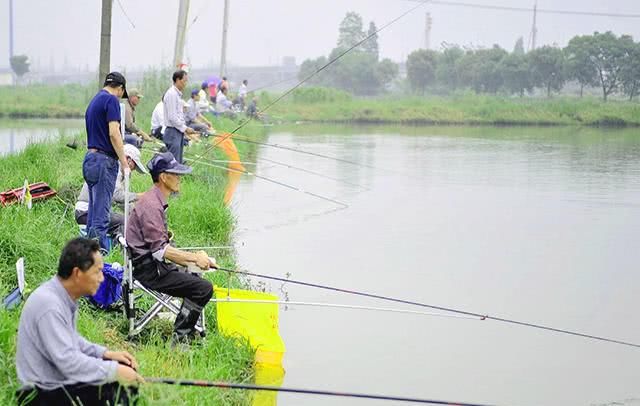  #自如#有风天去钓鱼 钓友掌握这几招应对自如