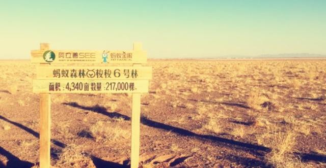 上亿用户在蚂蚁森林种树，马云做了件好事，现沙漠变成什么样了？