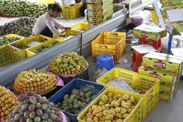 农村有四个职业已经“崛起”，有想法的人不妨试试，收入还不错