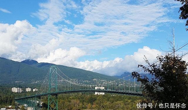 影响:钓鱼时,这几样“东西”不仅影响渔获,一不小心就会损失惨重
