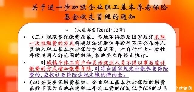 补缴6万元，退休后每个月领1500元养老金！